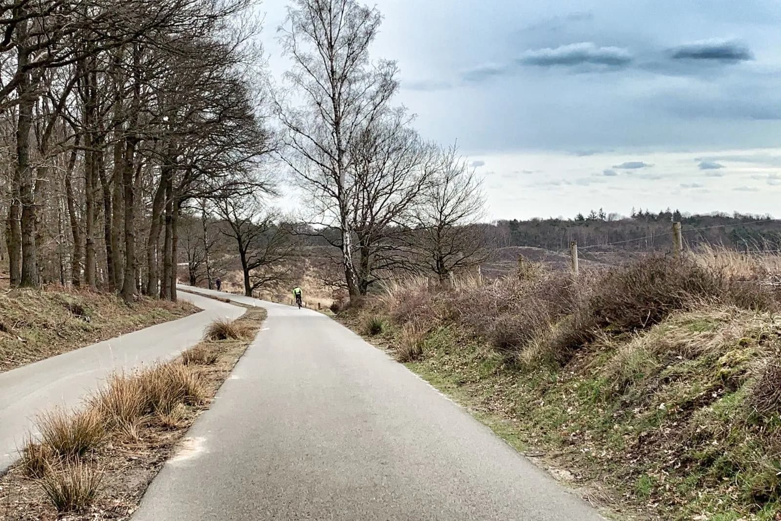Fietser op een verlaten weg langs bos en heide