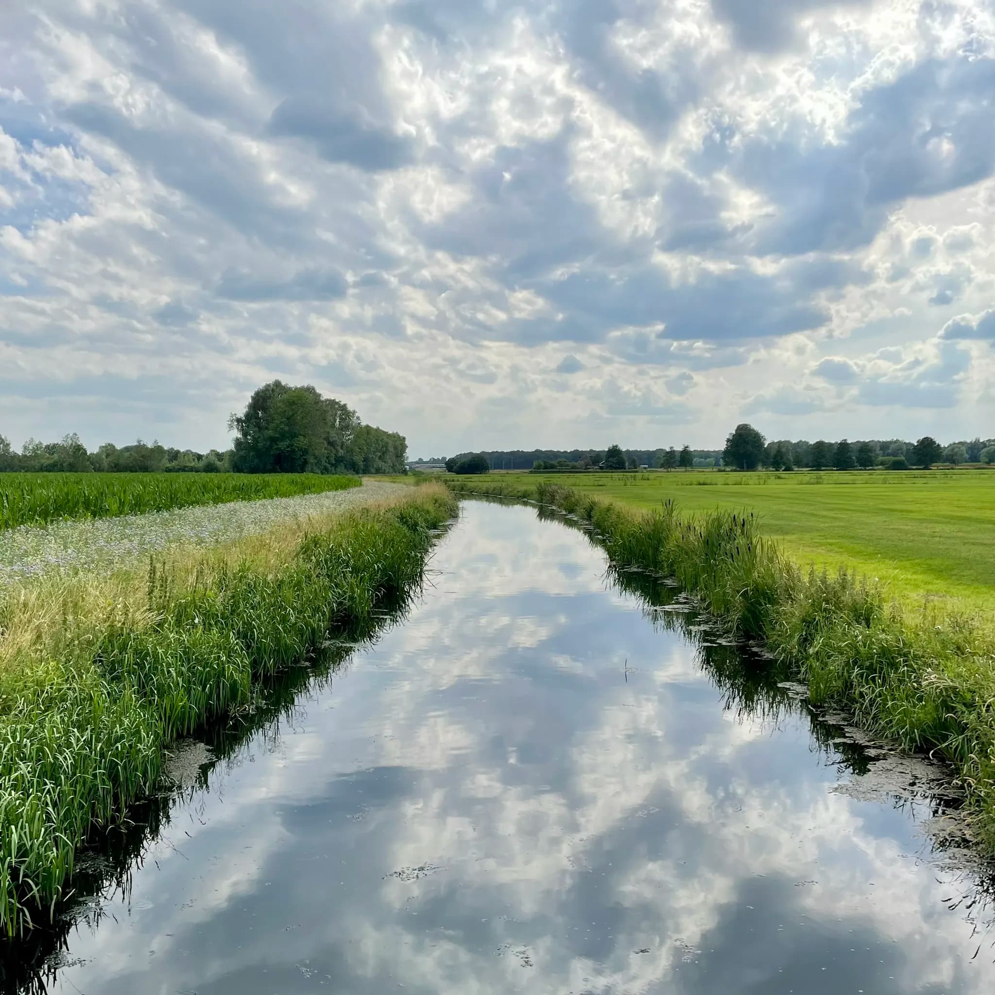 Weerspiegeling van wolken in een kaarsrecht kanaal tussen weilanden